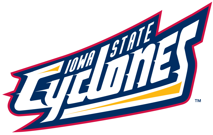 Iowa State Cyclones 1995-2007 Wordmark Logo v6 diy fabric transfer